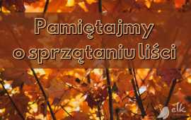 Zdjęcie: 0