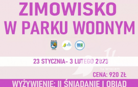 Zdjęcie: 0