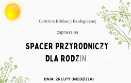 Zdjęcie: 1