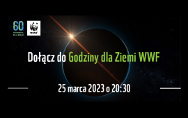 Zdjęcie: 0