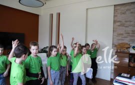 Zdjęcie: 4