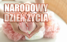Zdjęcie: 0