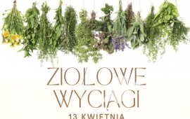 Zdjęcie: 0