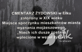 Zdjęcie: 5
