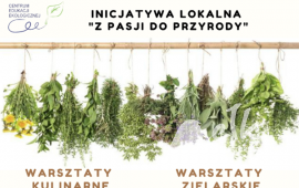 Zdjęcie: 0