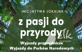 Zdjęcie: 1