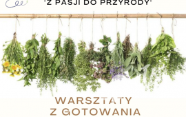 Zdjęcie: 0