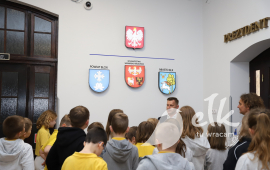 Zdjęcie: 11