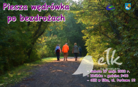 Zdjęcie: 0