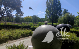 Zdjęcie: 5