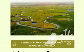 Zdjęcie: 0