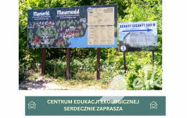 Zdjęcie: 0