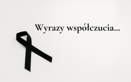Zdjęcie: 0