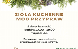 Zdjęcie: 2
