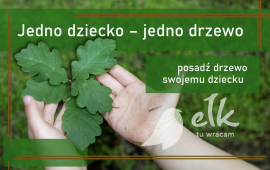 Zdjęcie: 0