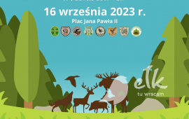 Zdjęcie: 1