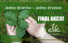 Zdjęcie: 0