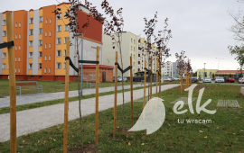 Zdjęcie: 17