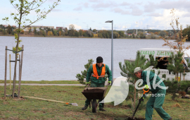 Autumn planting of trees and shrubs