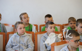 Zdjęcie: 12