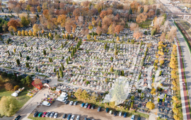 Zdjęcie: 0