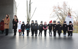 Zdjęcie: 6