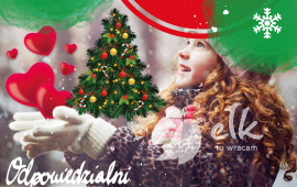 Caroling in the Solidarity Park and decorating the Christmas tree together