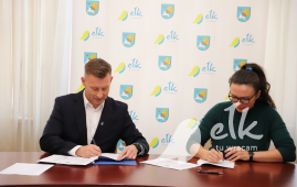 Zlecenie realizacji zadań publicznych organizacjom pozarządowym