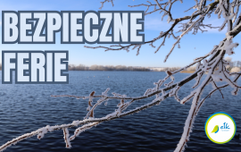 Zdjęcie: 0