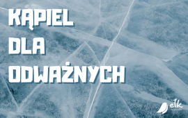 Zdjęcie: 0