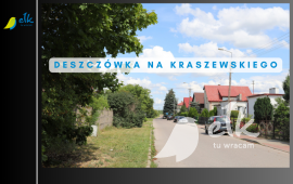 Zdjęcie: 0