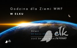 Zdjęcie: 0