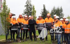 Planting trees on Towarowa Street
