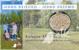 Zdjęcie: 0