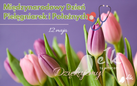 Zdjęcie: 0