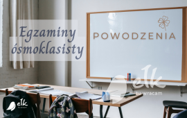 Zdjęcie: 0