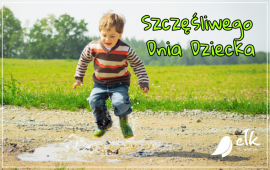 Zdjęcie: 0