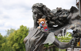 Zdjęcie: 18