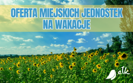 Zdjęcie: 0