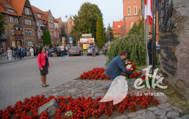 Zdjęcie: 12