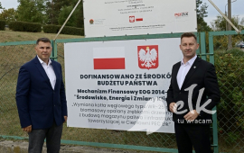 Zdjęcie: 2