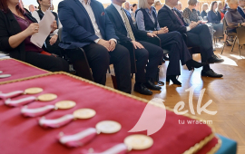 Zdjęcie: 8