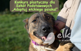 Konkurs plastyczny dla Szkół Podstawowych „Adoptuj ełckiego psiaka!”