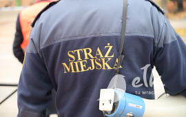 Zdjęcie: 12