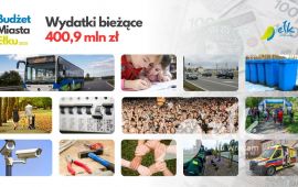 Zdjęcie: 3