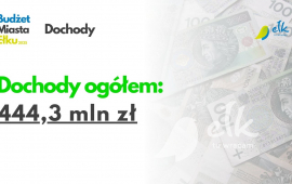 Zdjęcie: 1