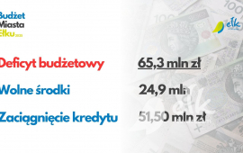 Zdjęcie: 8