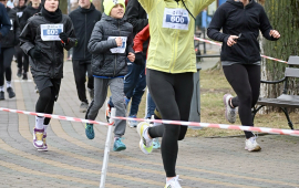 Zdjęcie: 106
