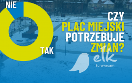 Zagospodarowanie Placu Miejskiego [Wyniki ankiety]