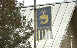 Zdjęcie: 19